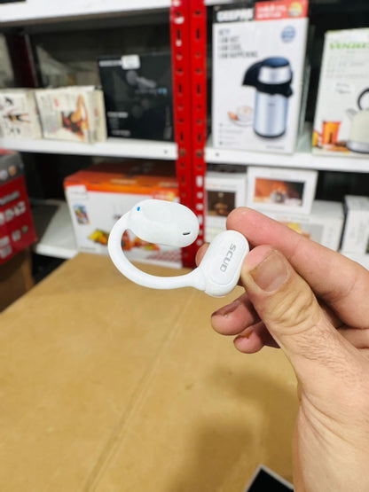 Hoshigami Plan EarPods